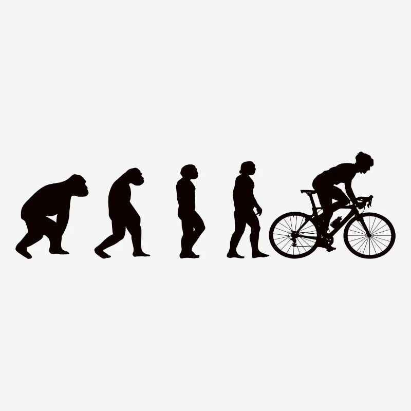 Vélo Vélo Evolution Cyclisme