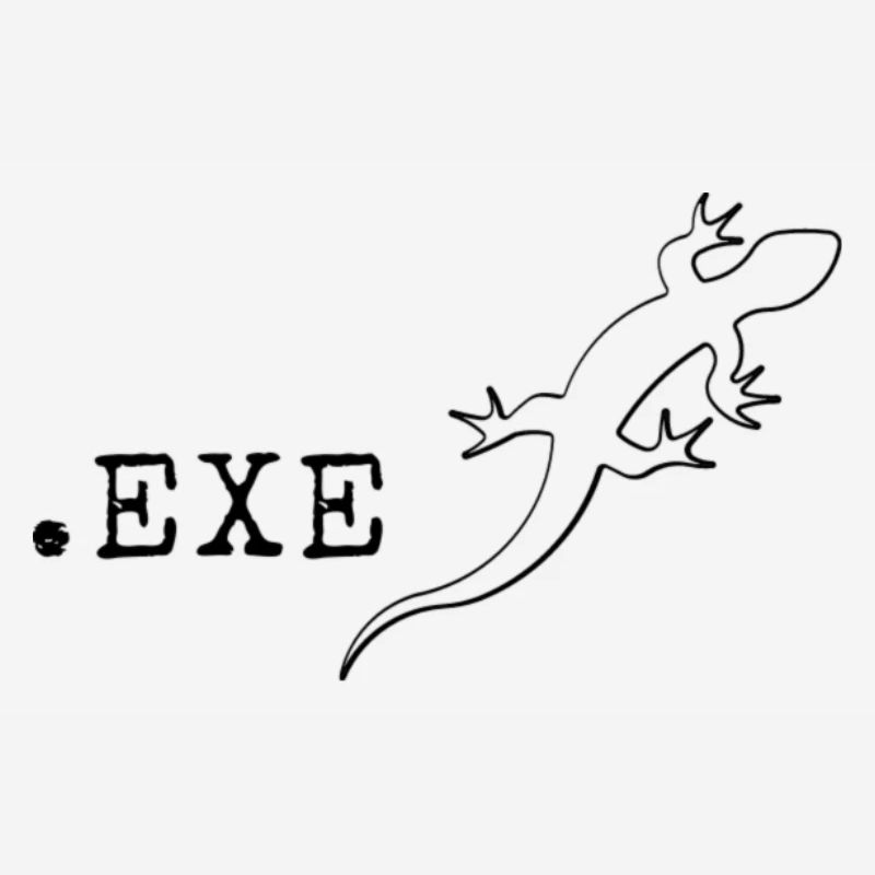 Informaticien programmeur It Coding