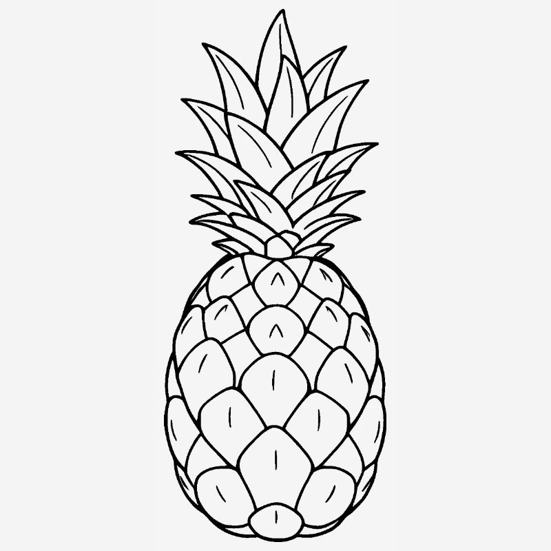 Minimalistic Pineapple