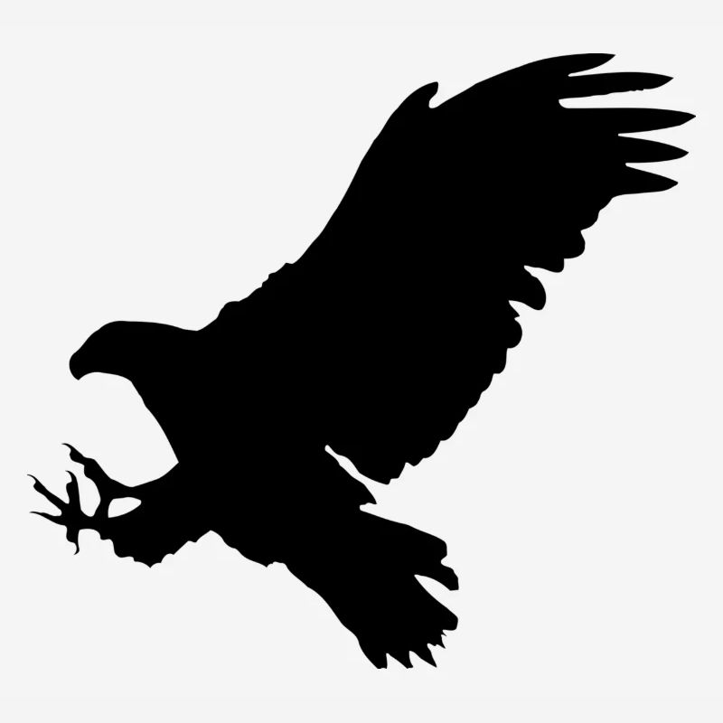 aigle