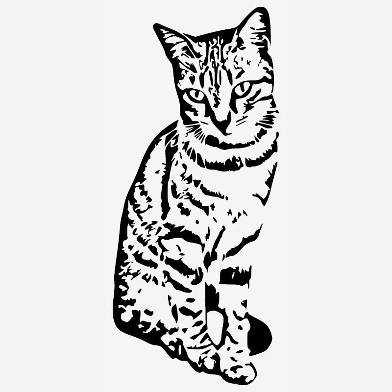 Chat Chaton Tigre Chat Chat Chat Cadeau