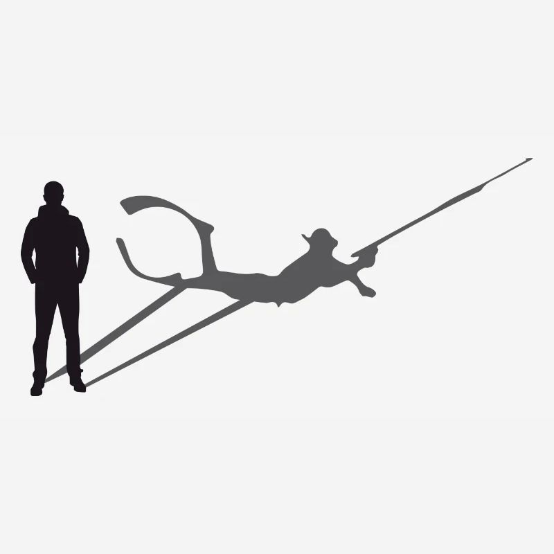 Shadow Spearfish