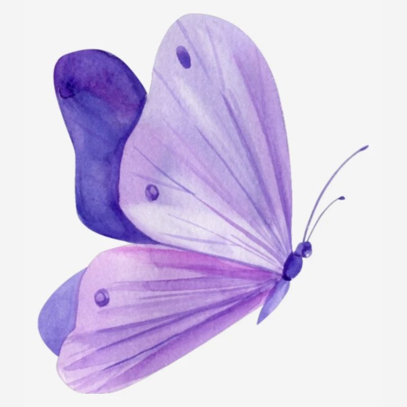 Papillon