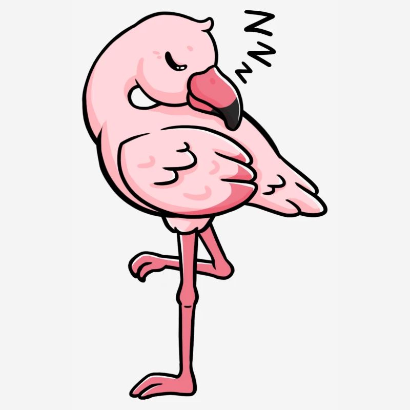 Flamingo schlafend Geschenkidee