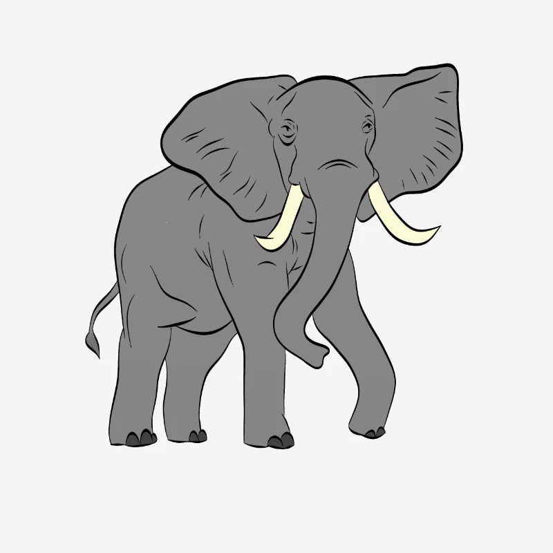 Elefant - Elephant