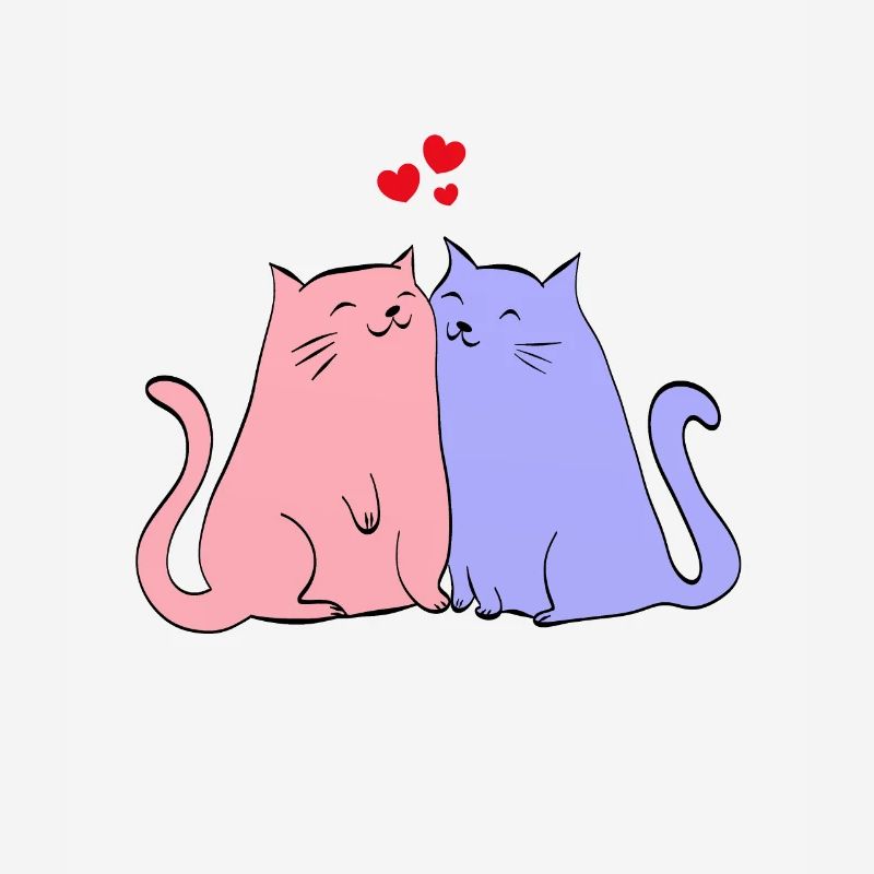 chats