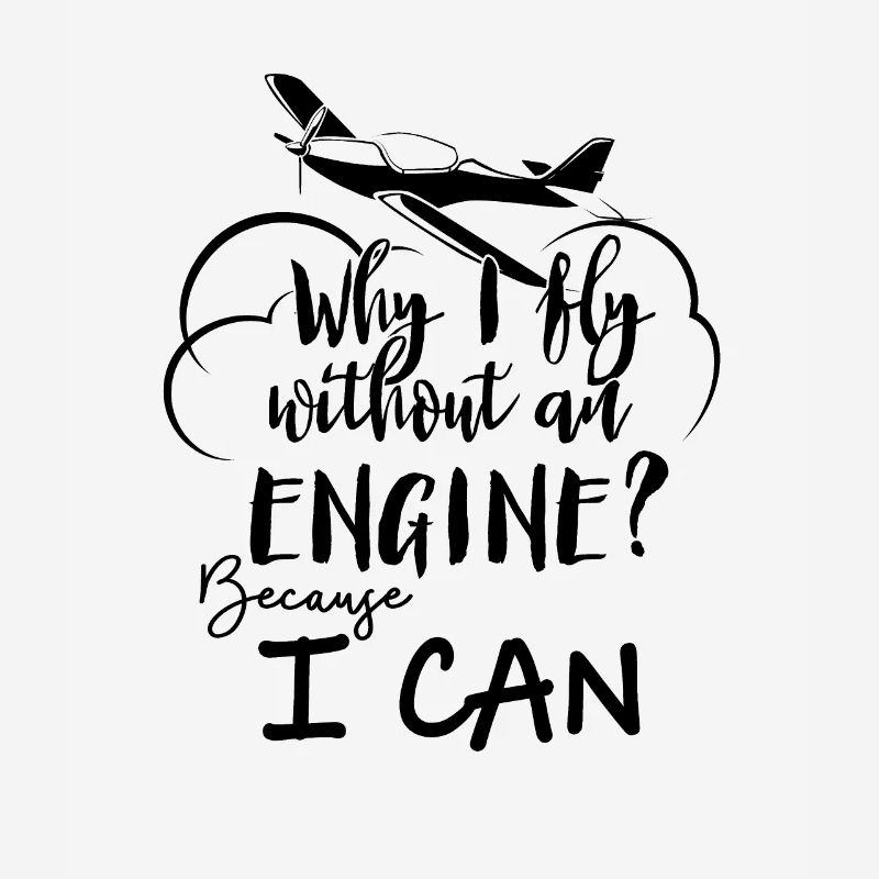 Glider Pilot Gliding Glider Flight