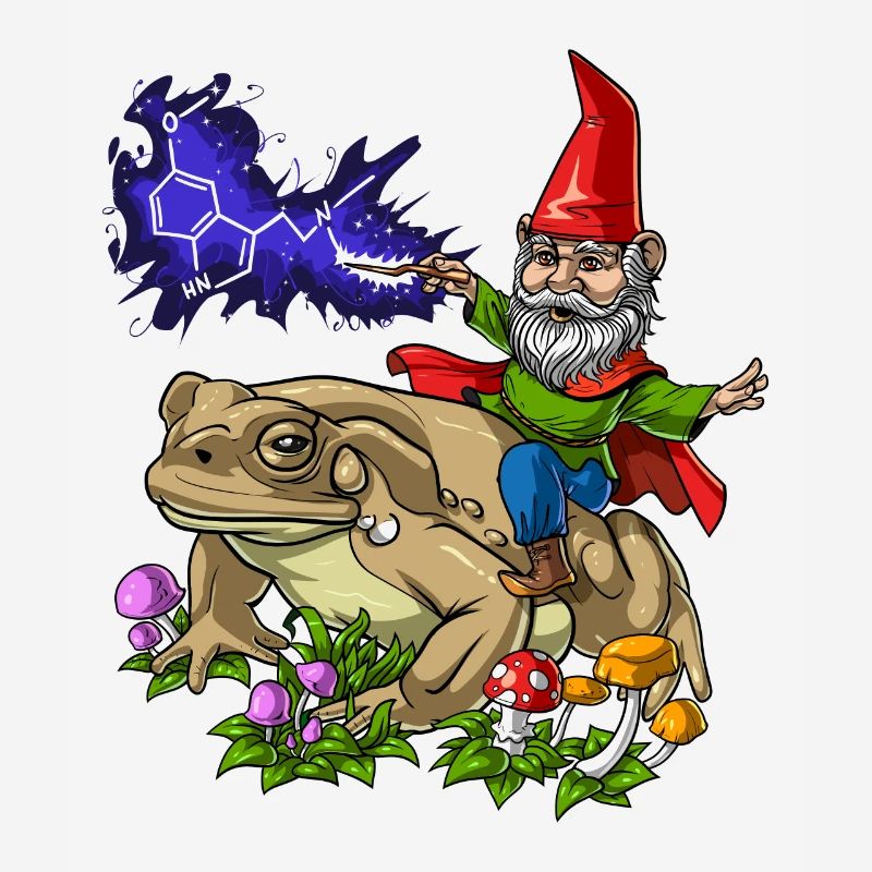 Gnome Riding Bufo Alvarius Frog