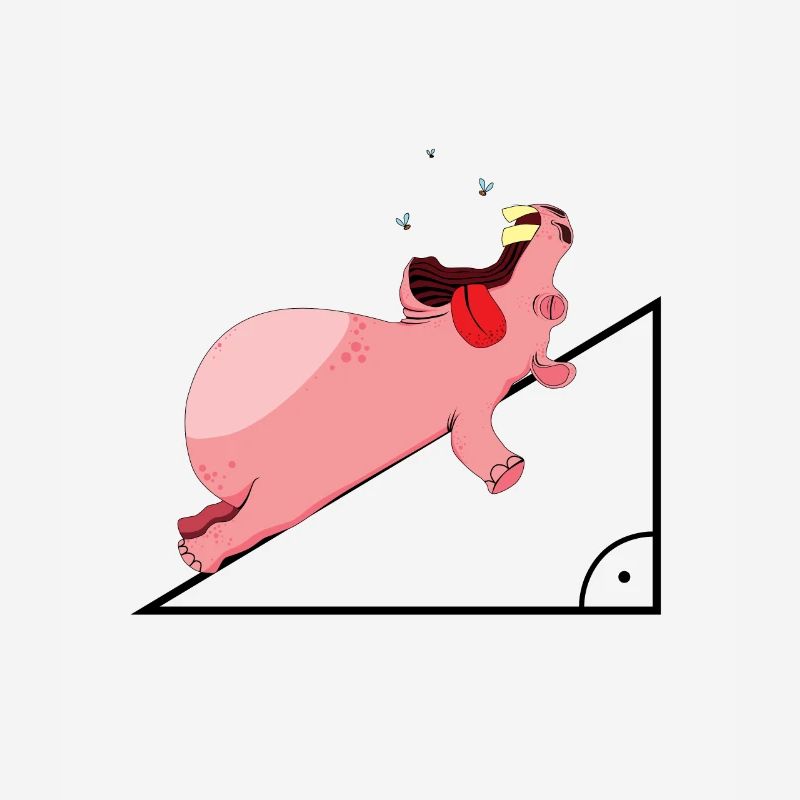 Hippopotamus hypotenuse math Funny