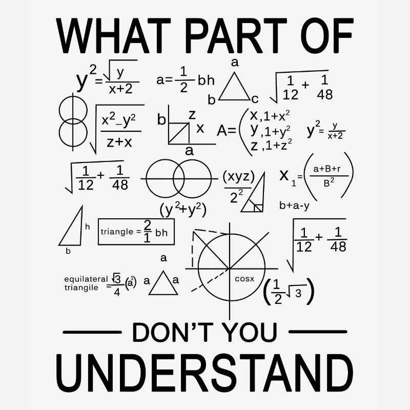 Engineer mathematician