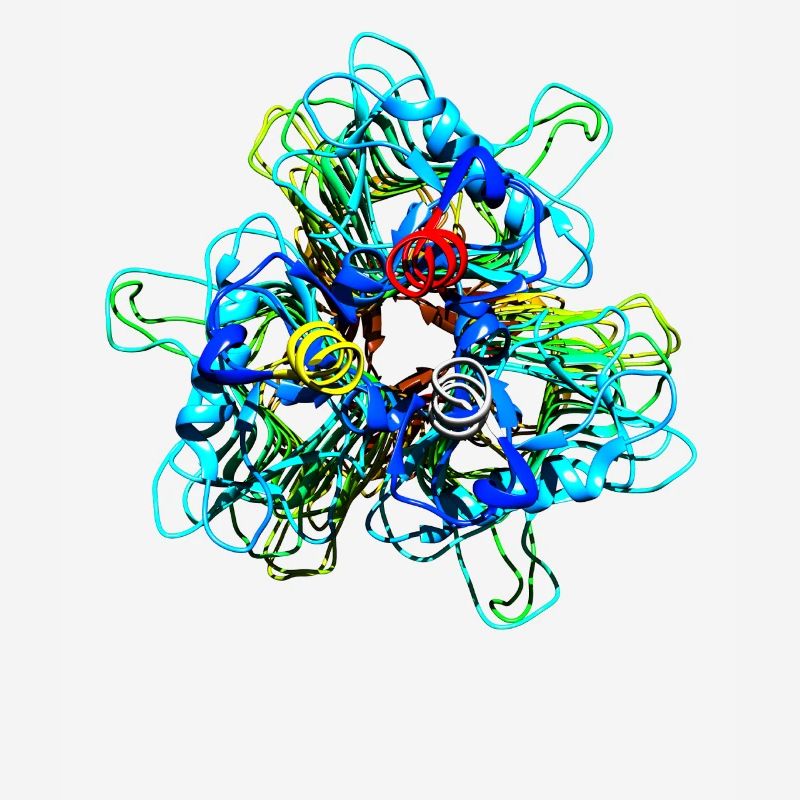 Native Tailspike Protein Molécule Bactériophage