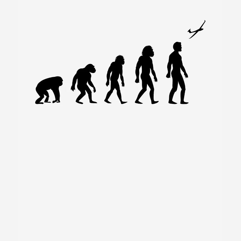 cadeau de voile de planeur évolution de vol de planeur