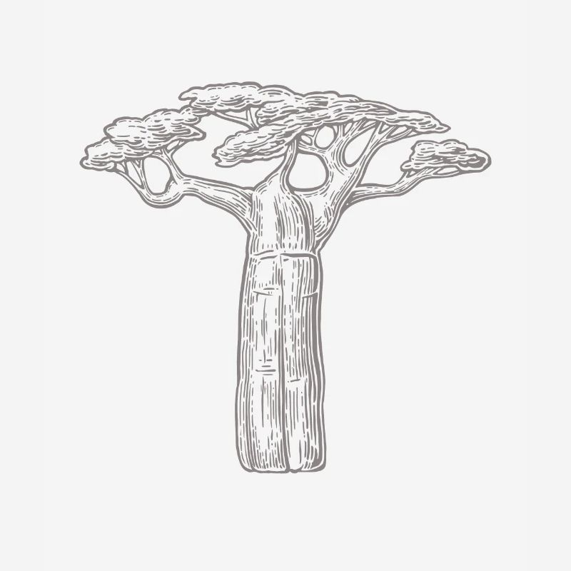 Baobab Bäume Liebhaber Geschenk Afrika Grafik