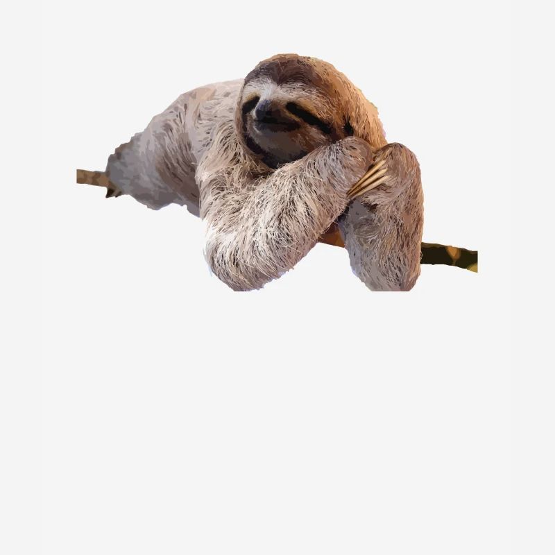Faultier Sloth Geschenk Idee