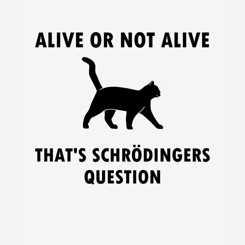 Schrödinger's Cat - Physicist Gift Physics Nerd