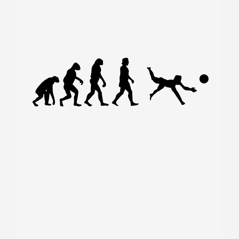 Volleyball Evolution Beach VolleyballEr Gift
