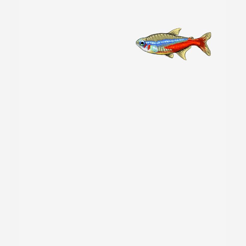 Neonsalmler Poisson poisson