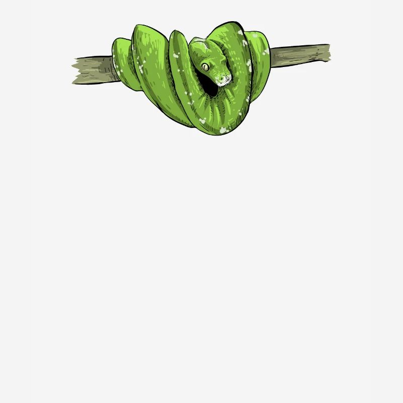 Morelia Viridis I Green Tree Python Snake Phyton