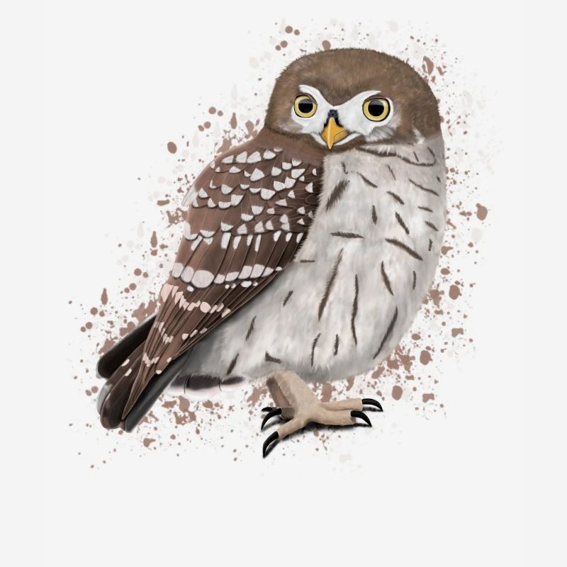 Oiseau hibou Oiseau