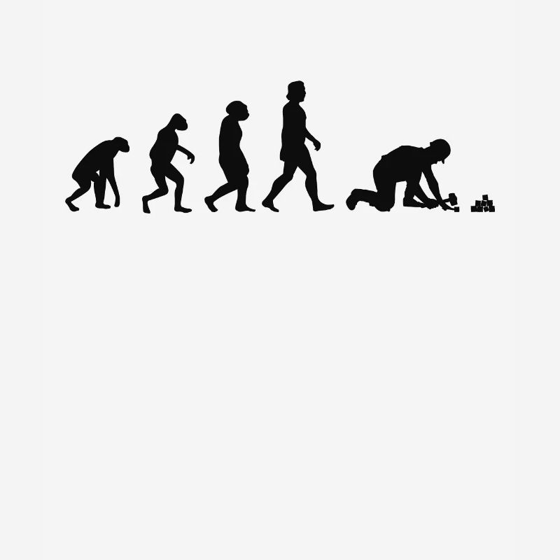 Pflasterer Evolution Steinetzer Pflastersetzer