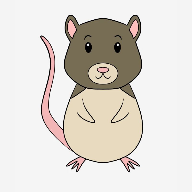 Vole Mouse