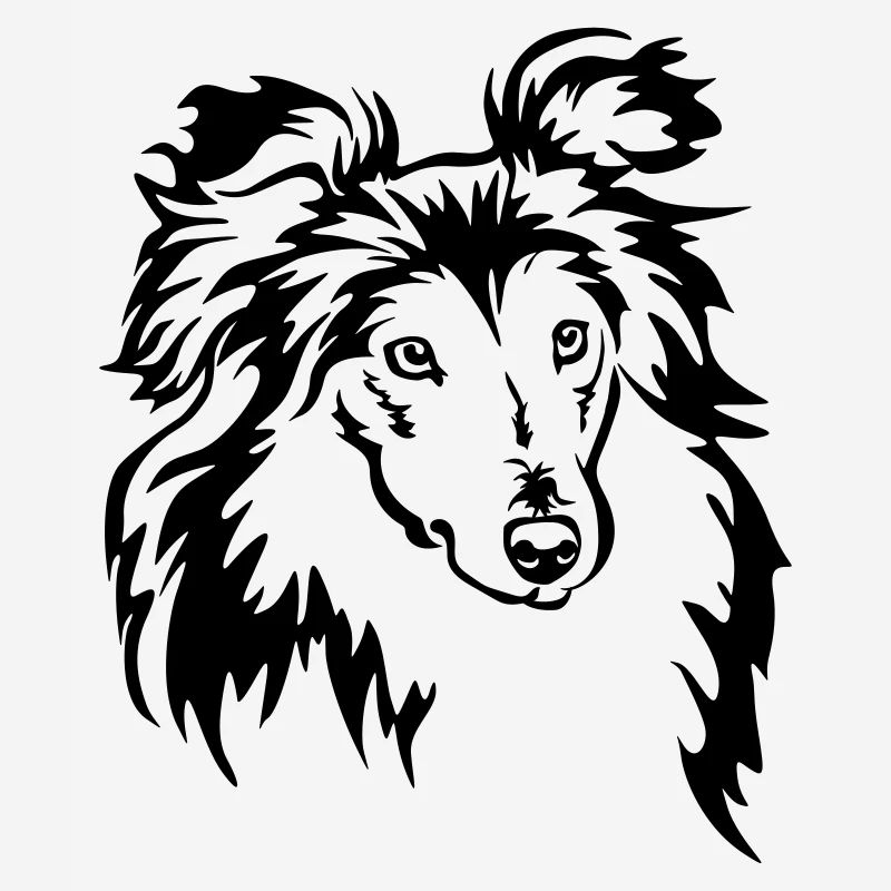 Tête de Sheltie