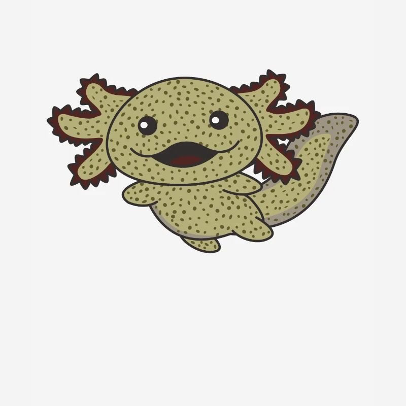 Axolotl différents types d’axolotls animaux doux