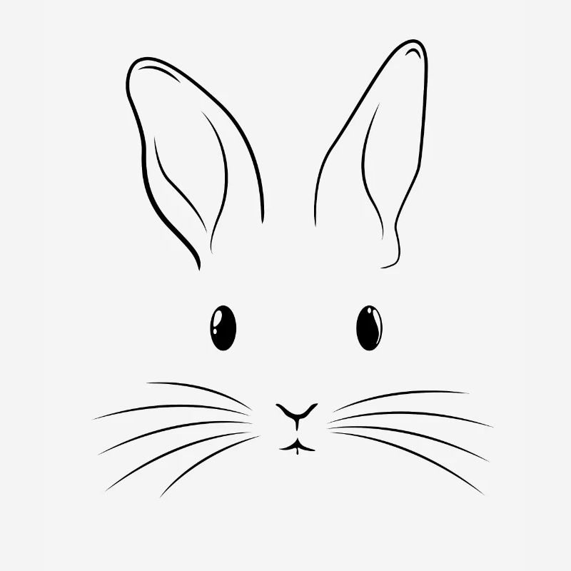 Easter Costume Rabbit Face Rabbit