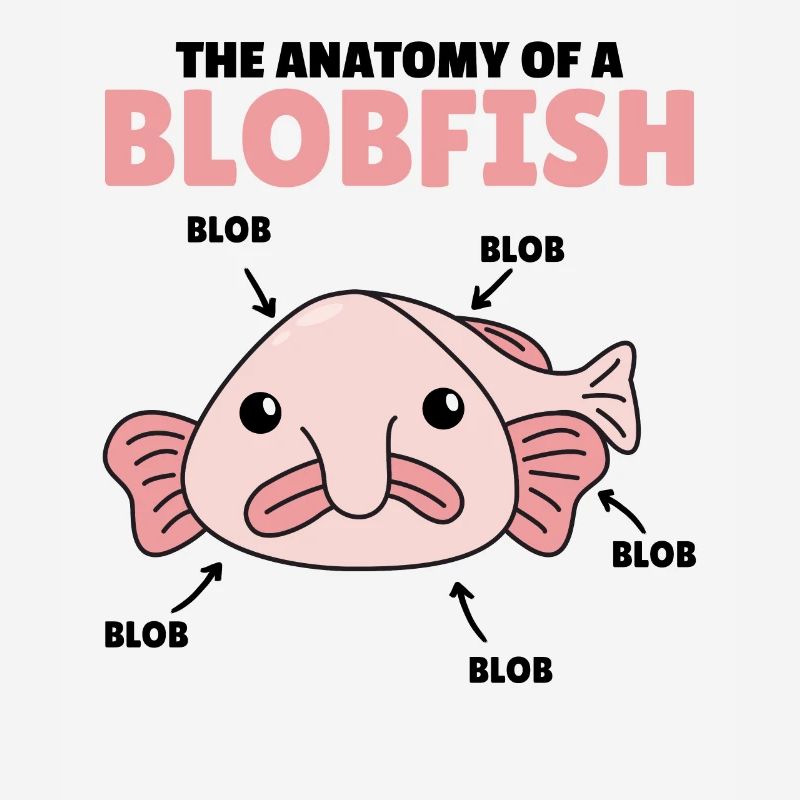 Blobfish Explication Anatomie d’un Blobfish