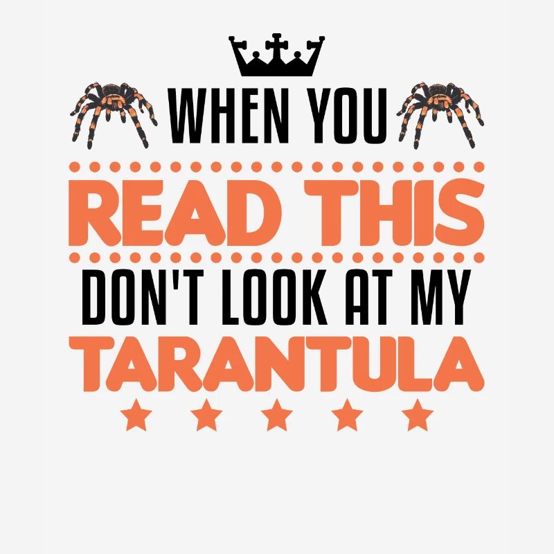 Tarentule Araignée Tarentule