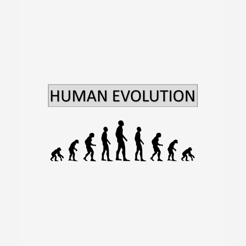 Human Evolution Drôle de design