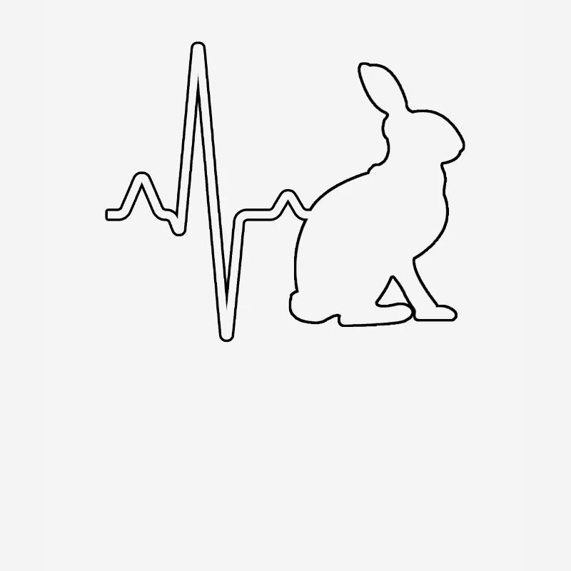 Rabbit Heartbeat