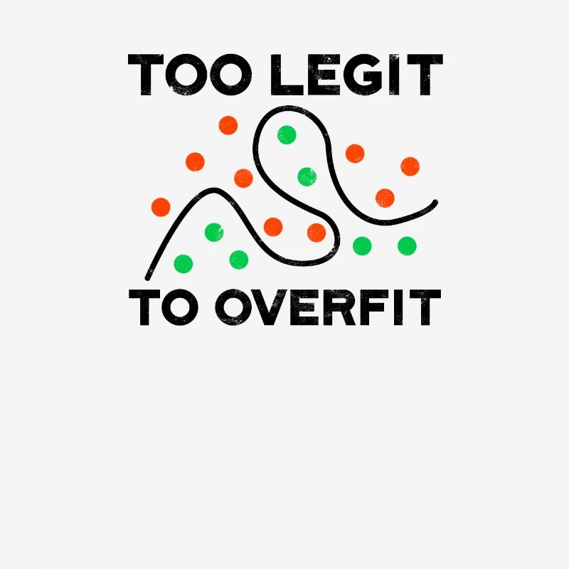 Too legit to overfit - software developer