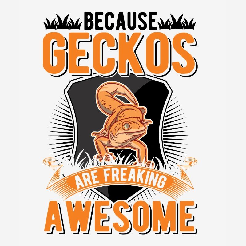 Parce que les Geckos sont impressionnants