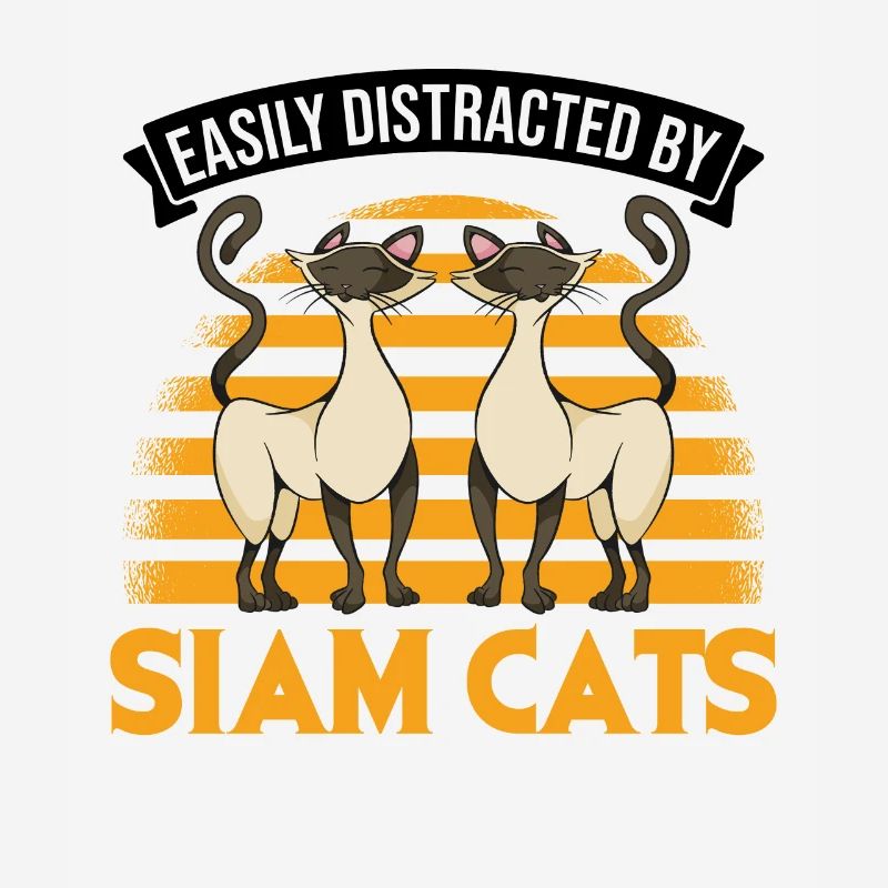 Easily distracted by Siam Cats Siamese Cat