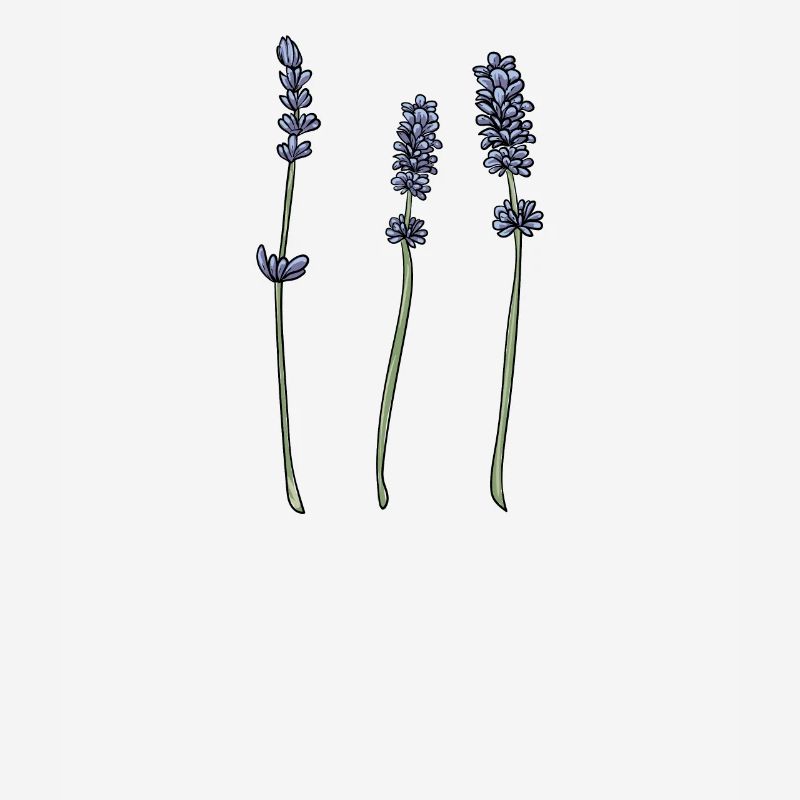 Lavender I Team Bride Fleur Couronne Mariage Boho