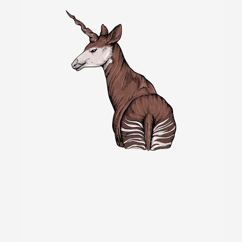 Okapi I Forest Giraffe from the Rainforest for