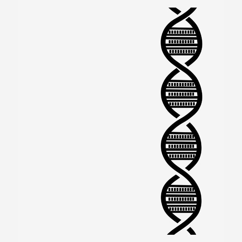 Black DNA harmonica for harmonica player