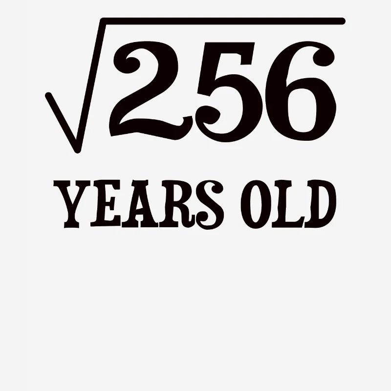 Square Root of 256 Math Nerd 16th Birthday
