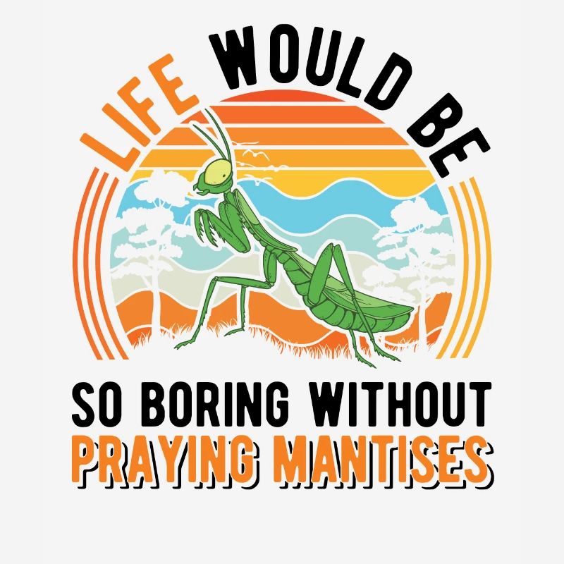 Praying Mantis Gift Mantis Mantis Mantis Fangschrecke