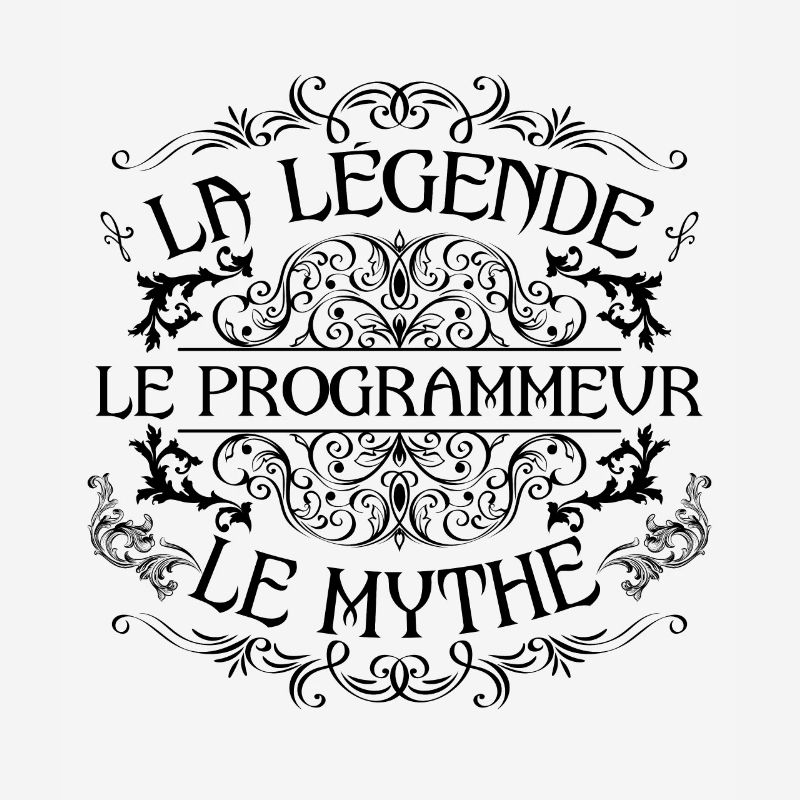 Programmeur | la légende Programmeur le mythe