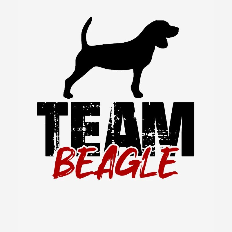Équipe Beagle