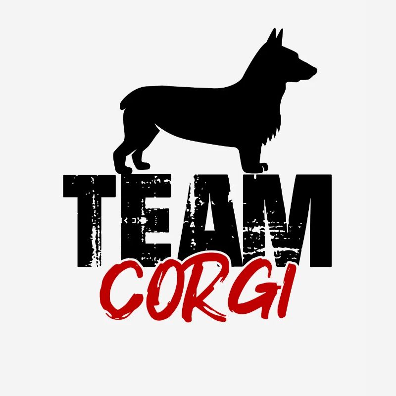 Équipe Corgi