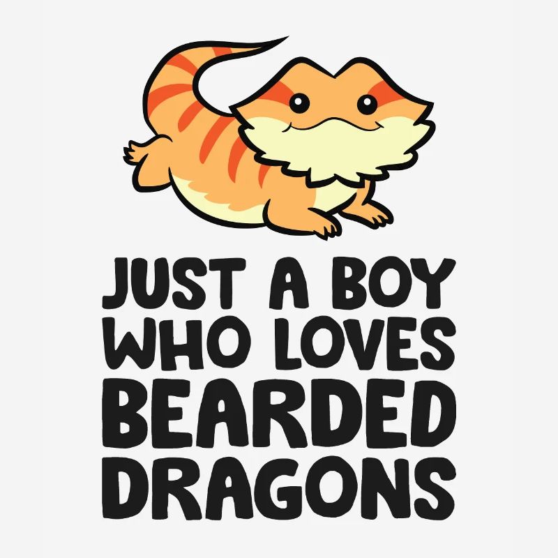 Bartagame Reptil Nur ein Junge, der Bartagamen