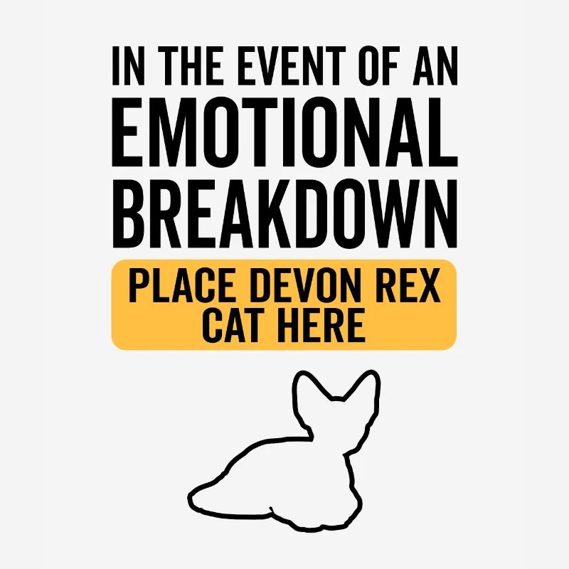 Émotionnel - Devon Rex Cat