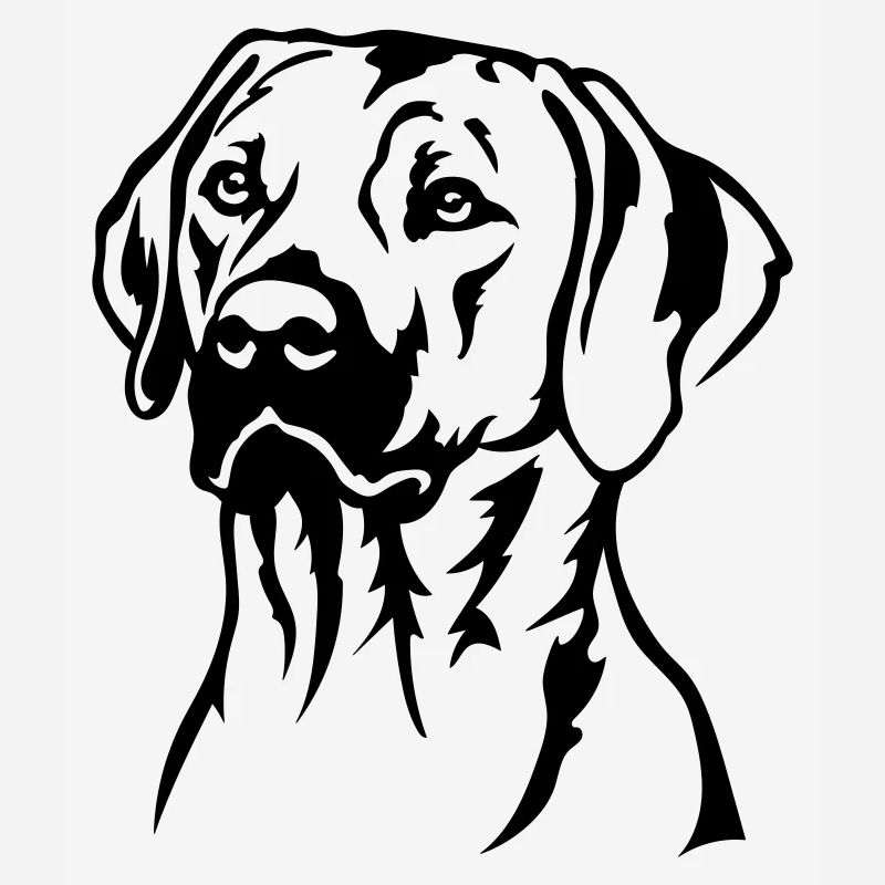 Rhodesian Ridgeback Head