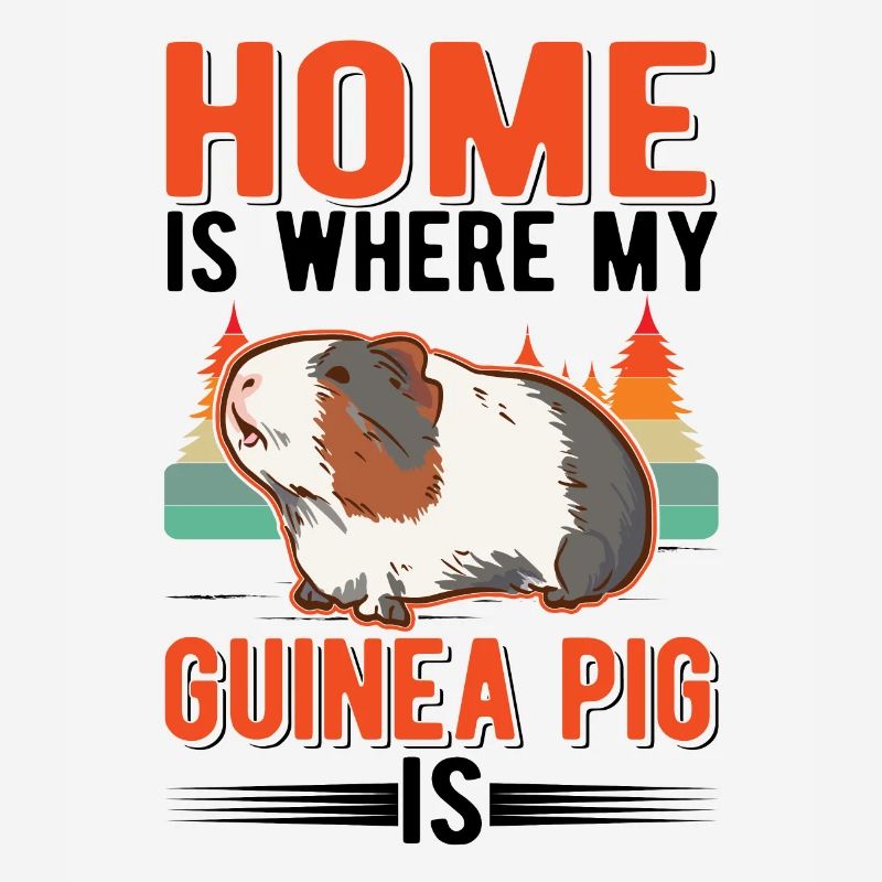 Cochons d’Inde à la maison Cochon d’Inde