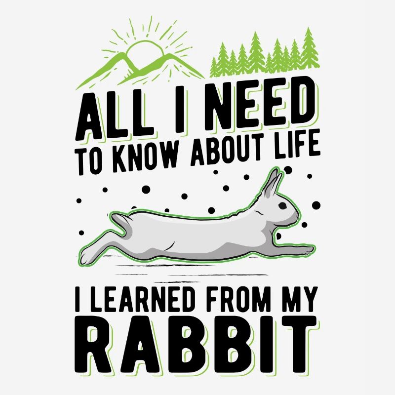 Rabbit Gift Bunny Rabbit Rabbit