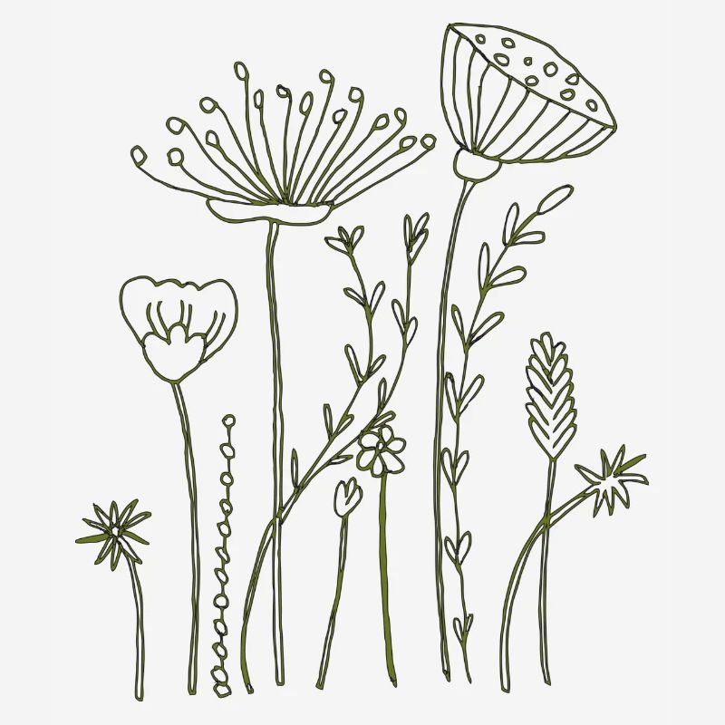 Fleurs séchées