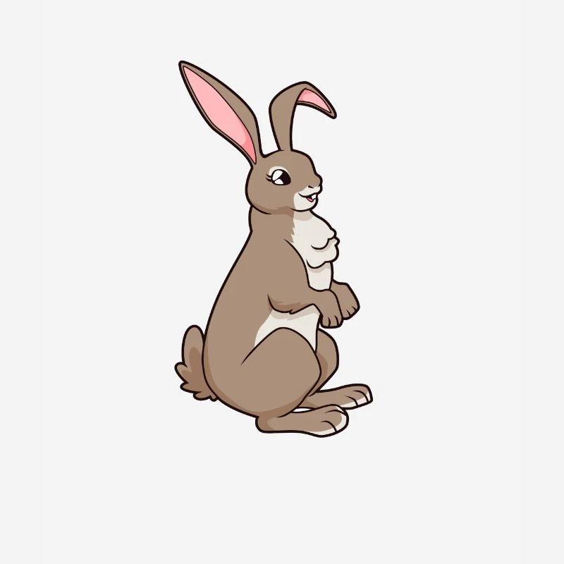 Kawaii Rabbit